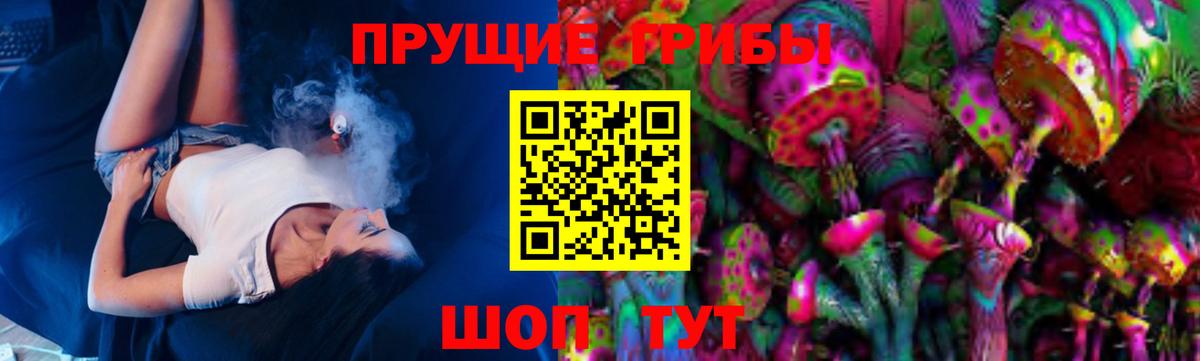 Новосибирск  Галлюциногенные грибы Psilocybe  Вход с VPN 
